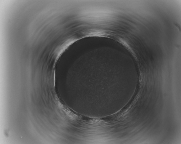 X0000102311323200808011553