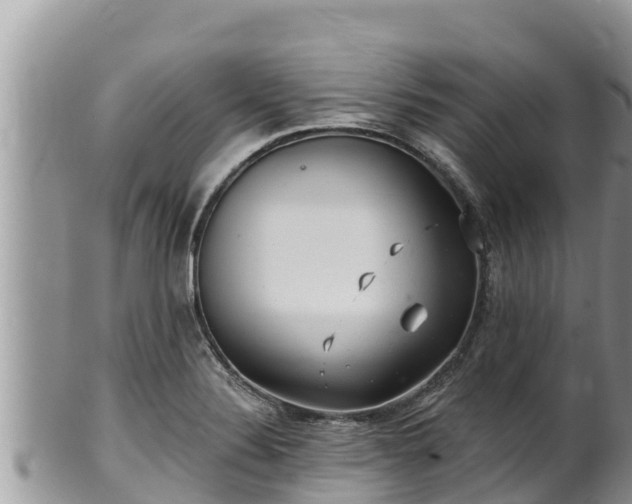 X0000102311324200808011553