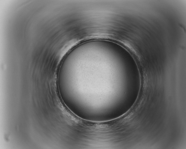 X0000102311325200808011554