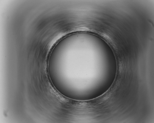 X0000102311326200808011554