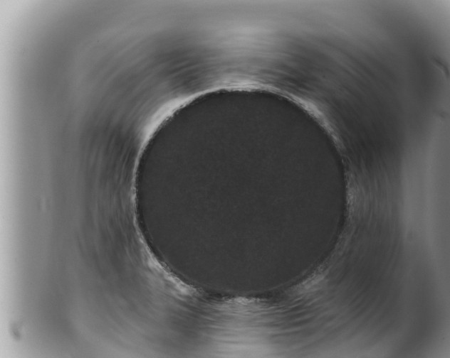 X0000102311327200808011554