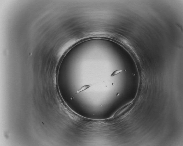 X0000102311328200808011554