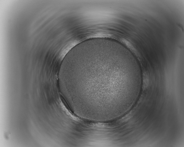 X0000102311329200808011554