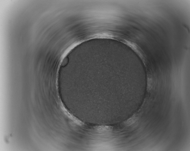 X0000102311331200808011554