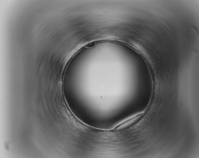 X0000102311332200808011554