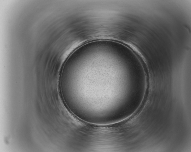 X0000102311333200808011554