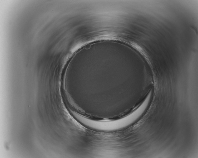 X0000102311334200808011554