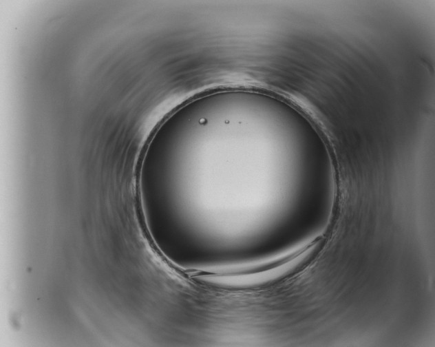 X0000102311335200808011554