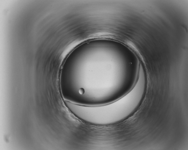 X0000102311336200808011554