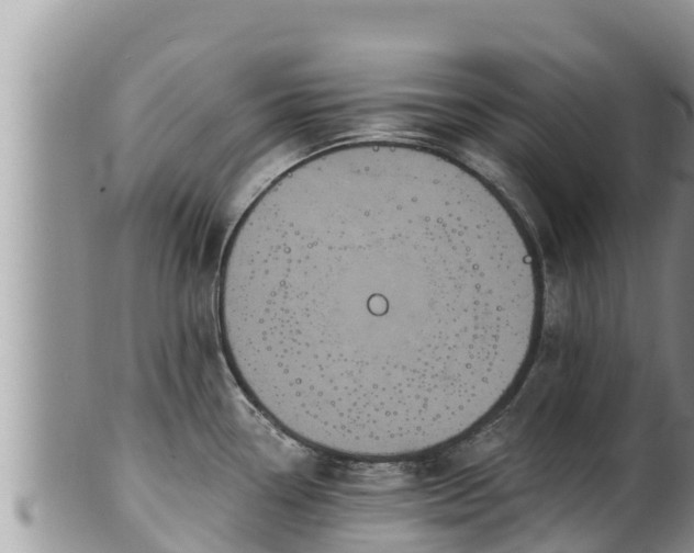 X0000102311338200808011554