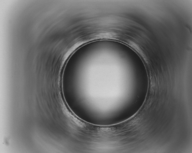 X0000102311339200808011554