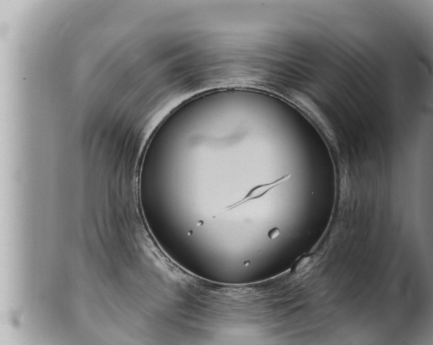 X0000102311340200808011554