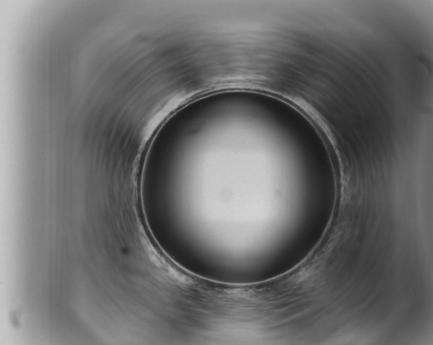 X0000102311341200808011554