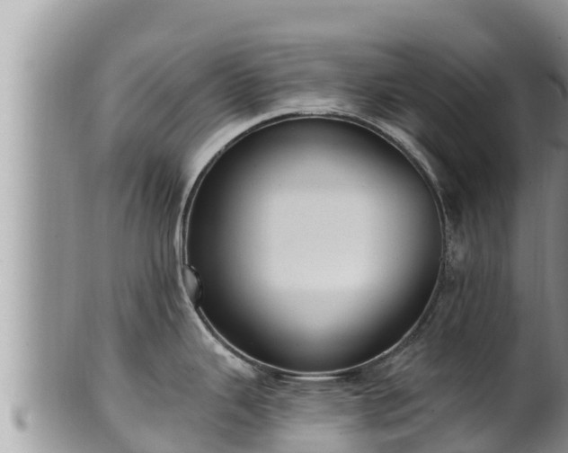 X0000102311343200808011554