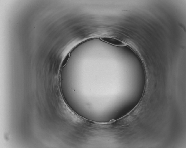 X0000102311344200808011554