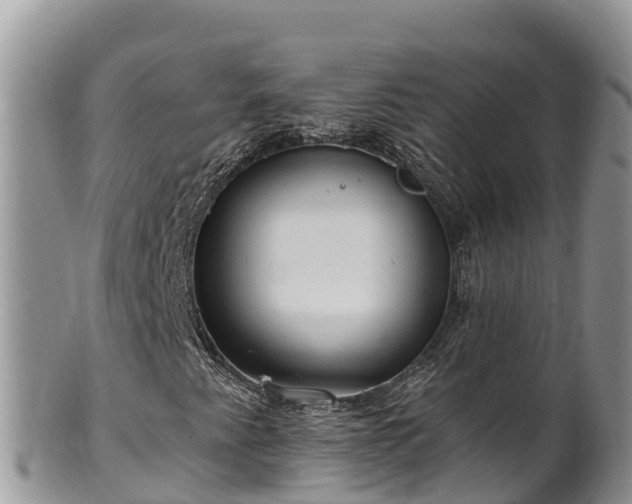 X0000102311345200808011553