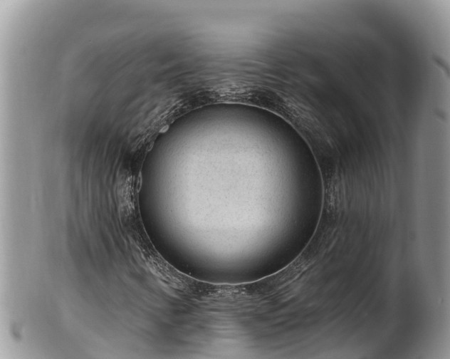 X0000102311346200808011553