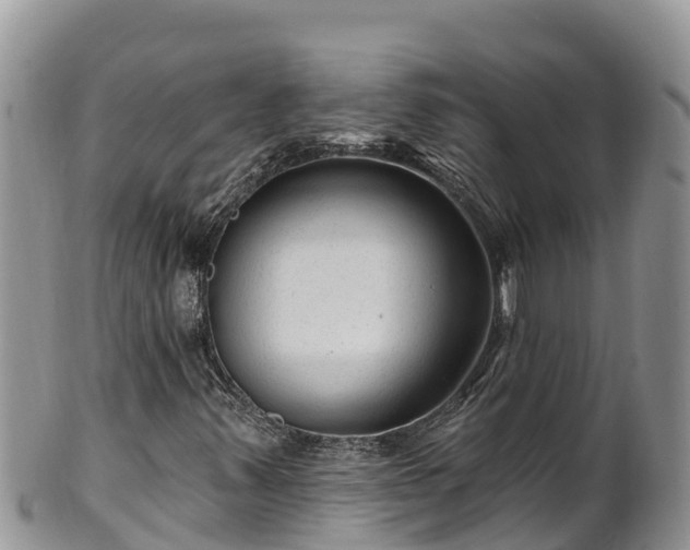 X0000102311347200808011553