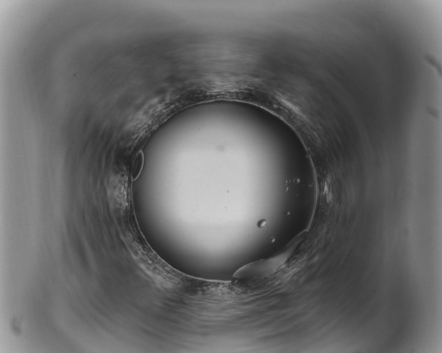 X0000102311348200808011553