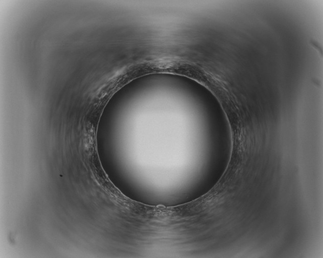 X0000102311349200808011553