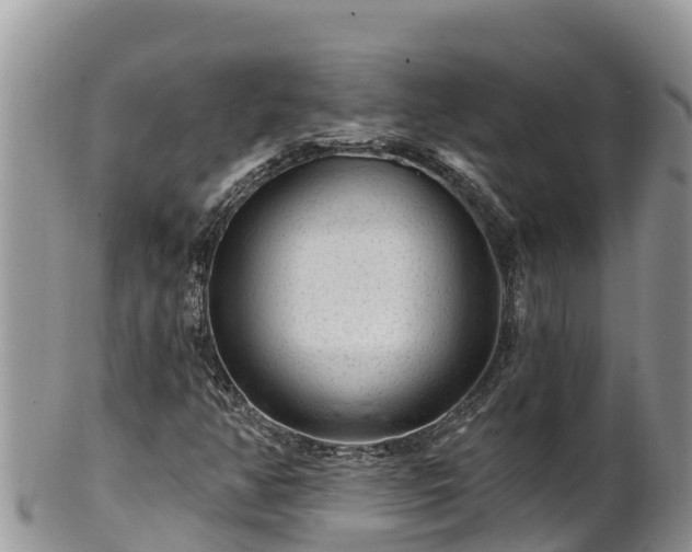 X0000102311350200808011553