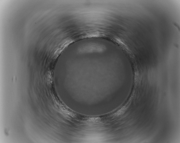 X0000102311353200808011553