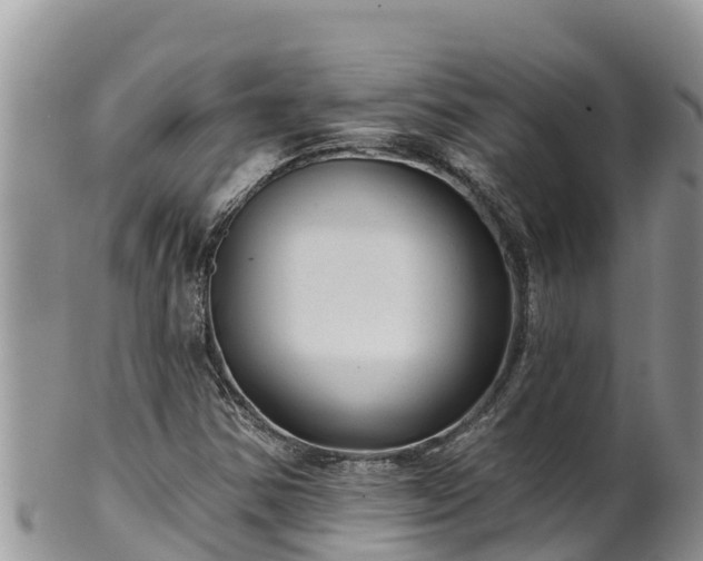 X0000102311354200808011553