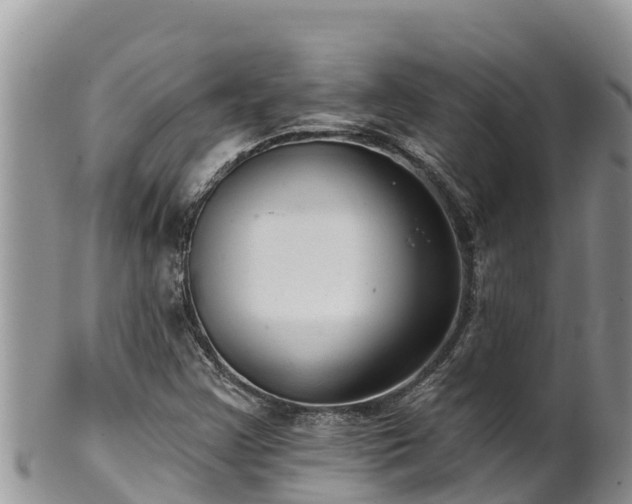 X0000102311355200808011553