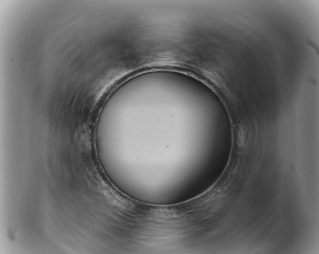 X0000102311356200808011553