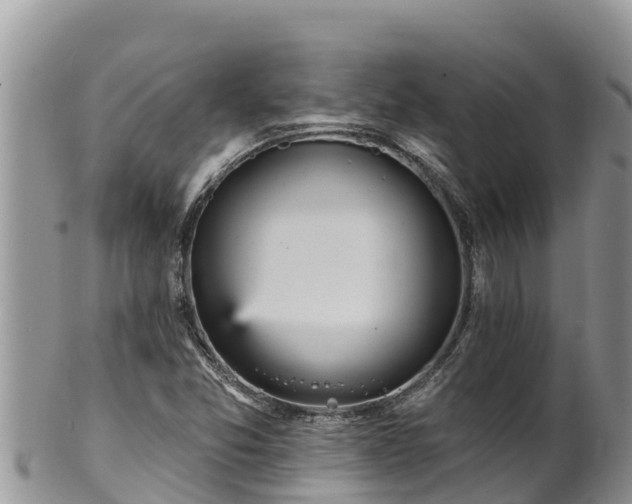 X0000102311357200808011553