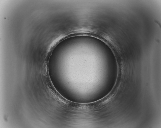 X0000102311358200808011553