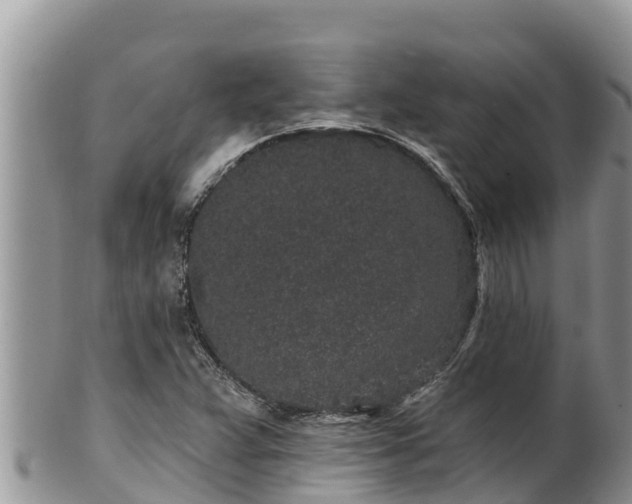 X0000102311359200808011553