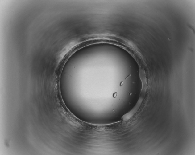 X0000102311360200808011553