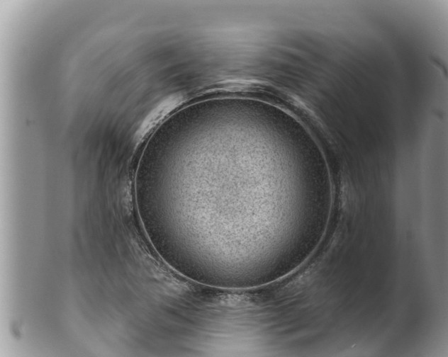 X0000102311362200808011553