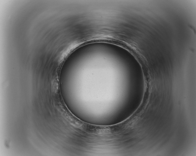 X0000102311363200808011553