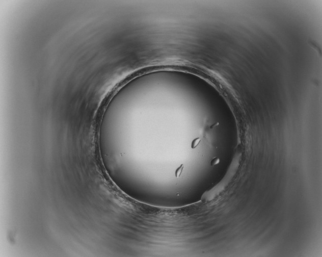 X0000102311364200808011553