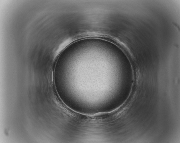 X0000102311365200808011553