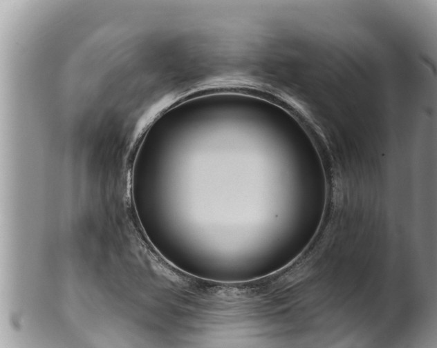 X0000102311366200808011553