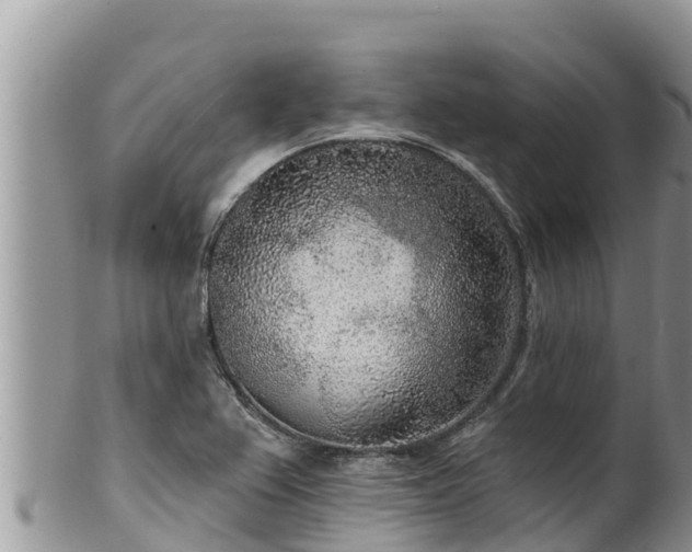 X0000102311367200808011553