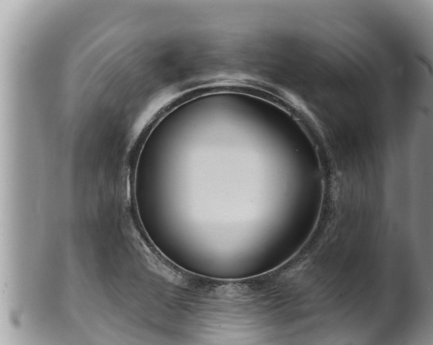 X0000102311368200808011553