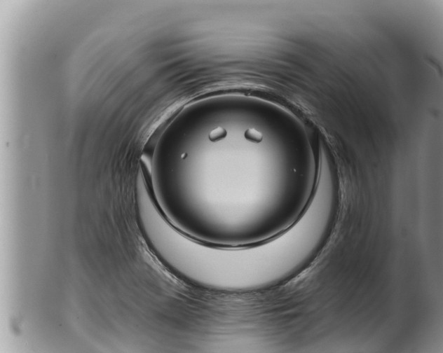 X0000102311369200808011553