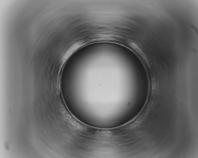 X0000102311370200808011553