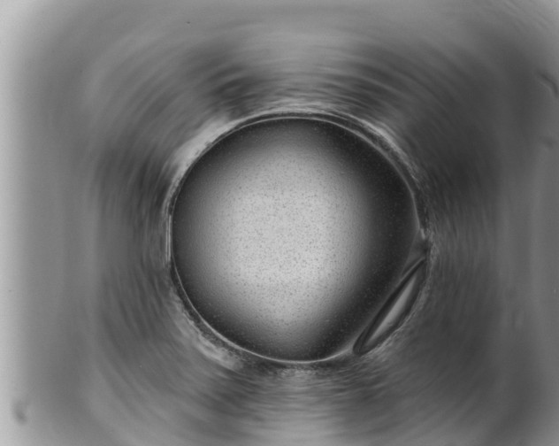 X0000102311371200808011553