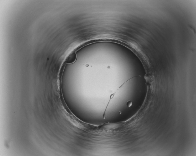 X0000102311372200808011553