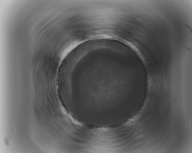 X0000102311373200808011553