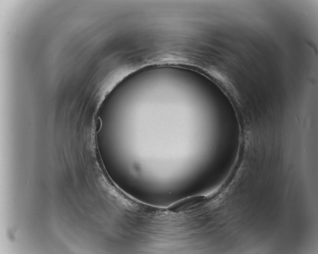 X0000102311374200808011553