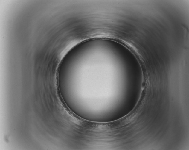 X0000102311375200808011553