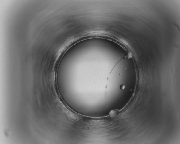 X0000102311376200808011553