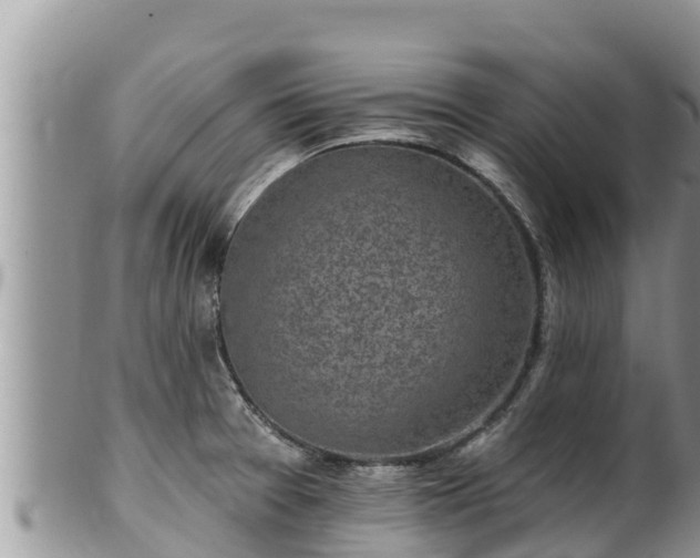 X0000102311377200808011552