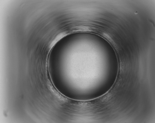 X0000102311378200808011552